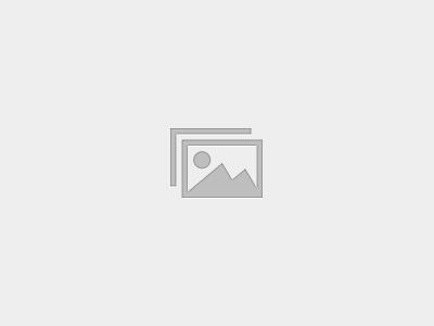 Certified Attendance Professional™ — Level 1